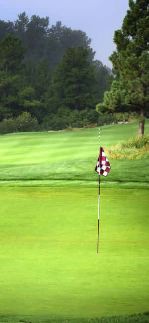 Fundal Teren Golf Iphone X — POCO M7 Plus Fundal