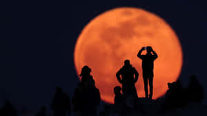 fotografii cu luna plina — Lună estetică Fundal