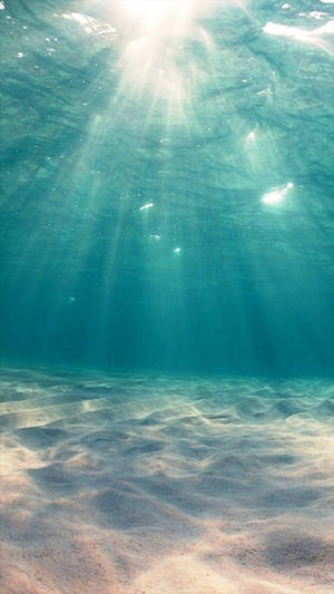 Ocean Iphone — Ocean Fundal