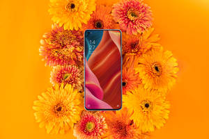Oppo Smartphone și Floră Înfloritoare
