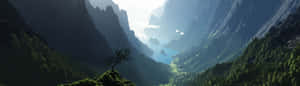 Fundal Dual Monitor — Dual monitor GIF Fundal