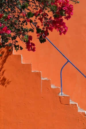 Imagini Orange Aesthetic — Portocaliu estetic GIF Fundal