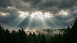 Raze de soare străpungând norii deasupra unei păduri cețoase.