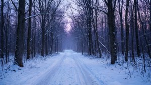 O potecă liniștită printr-o pădure înzăpezită, în nuanțe de amurg. — Craciun kawaii Fundal
