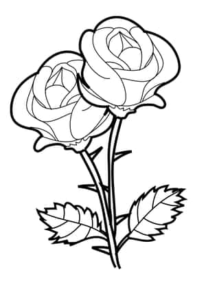 Imagini de colorat flori — iPad Air Fundal