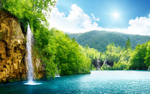Paradis Natural 4K