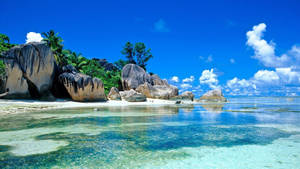 Paradisul din Seychelles: Screen Saver cu Plajă