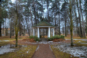 Fundal parcul în sezonul primăverii