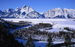 Parcul Național Grand Teton în iarnă — Rece Fundal