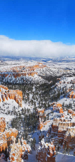Parcul Național Bryce Canyon Zăpadă Adâncă — Oppo Find X Fundal