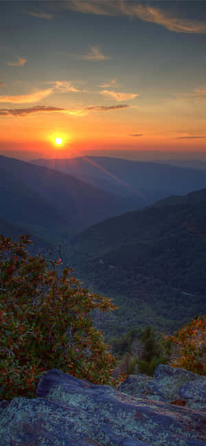 Soare Aurit Parcul Național Great Smoky Mountains — Vivo V60 Fundal