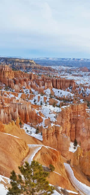 Parcul Național Bryce Canyon Ninja de Zăpadă — Oppo Find X10 Fundal