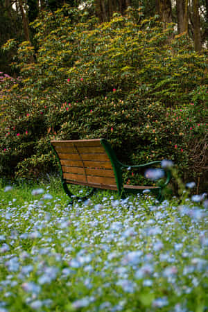 Park Bench Blue Flowers Phone — Huawei MatePad 11.5 (2026) Fundal