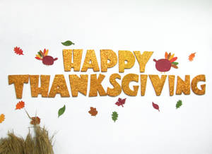 Păsărică Roz Drăguță de Ziua Recunosținței — Thanksgiving drăgut Fundal