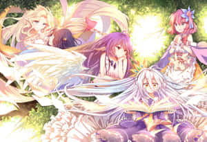 Fundal No Game No Life — No Game No Life Fundal