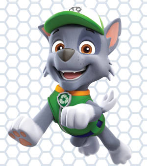 Fond de ecran Paw Patrol Rocky — Nubia Fold Fundal
