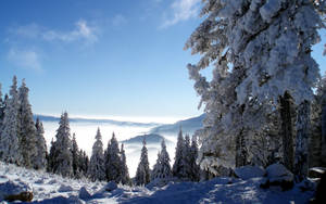 Fond de ecran peisaj montan scenic înghețat — Rece Fundal