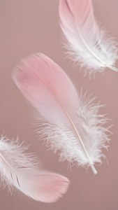 Pene delicate ombre în nuanțe de roz deschis și alb, plutind ușor. — Roz deschis estetic Fundal