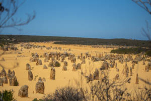 Perth Yanchep National Park wallpaper — Zori Fundal