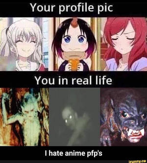 PFP meme hilar — Honor Magic V Flip 2 Fundal