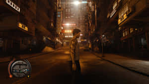 Fundal Sleeping Dogs — Câini adormiți Fundal