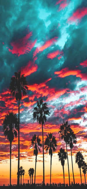 Fundal iPhone X California — Honor X5d Plus Fundal