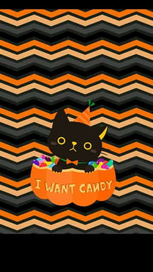 Pisică neagră drăguță estetică de Halloween într-un dovleac — Drăguț estetic Halloween Fundal
