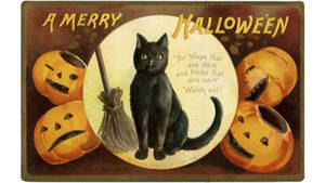 Pisica vrăjitoarei de Halloween vintage — Vintage Halloween Fundal