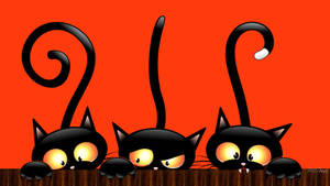 Pisici Negre Drăguțe de Halloween cu Estetică Cute — Drăguț estetic Halloween Fundal