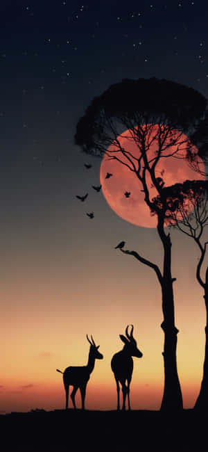 1080x2340 — iPhone 17 Fundal