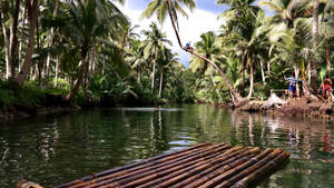 Wallpaper Plută pe Râul Maasin, Insula Siargao — Pro Display XDR Fundal