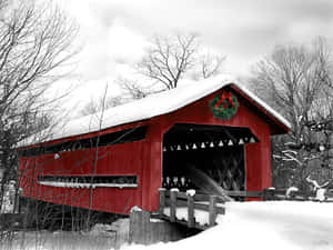 Iarnă în New Hampshire — Iarnă Fundal