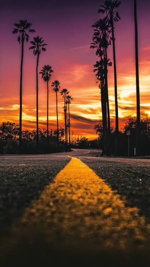 Tapet Portret al Bulevardului Sunset — Sunset Boulevard Fundal
