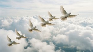 Porumbei albi zburând prin nori, simboluri ale păcii și libertății. — Alb aesthetic Fundal