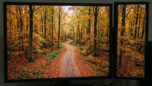 O scenă de pădure de toamnă, vedere de sus, pentru două monitoare.