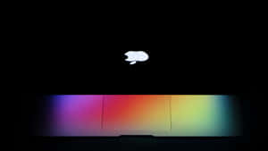 Poze estetice cu Macbook — Estetic computer Fundal