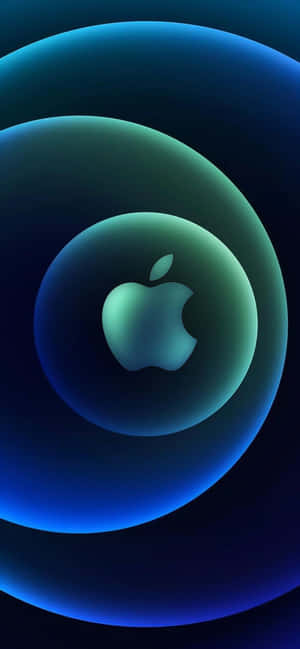 Fundal iPhone 13 Pro — Moto E Fundal
