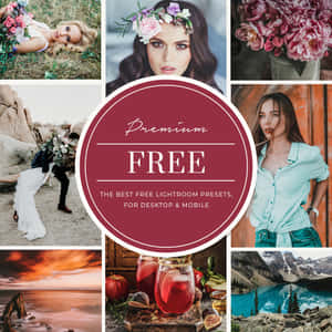 Imagini cu preseturi Lightroom — Floare estetic Fundal