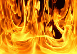 Fundal Foc — Foc Fundal