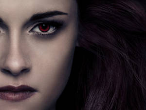 Wallpaper Prim-Plan Bella - The Twilight Saga — Twilight Fundal