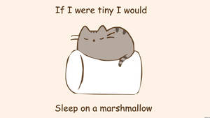 Fond de ecran Pusheen Dormind pe Bezeaua — Simplu Fundal