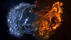 Tapet cu artwork 3D cool cu păsări luptându-se. — 1600x900 Fundal