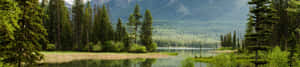 Fundal natural 4k — Natura 4K Fundal