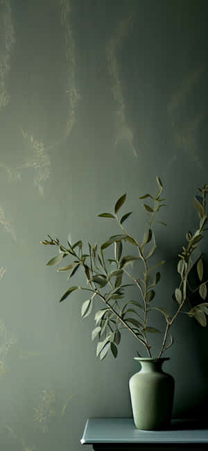 Imagini estetica Sage Green — iPhone 16 Pro Fundal