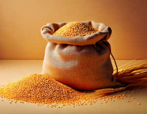 Sac, Cereale, Grâu, Minimal, Minimalist, Agricultură, Fundal agricol — Minimalist Fundal