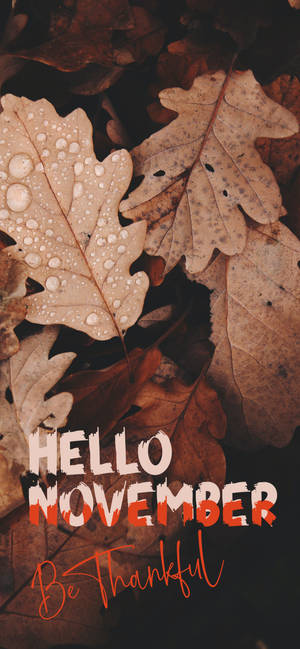 Fond de ecran Salut November Fii Recunoscător — iPhone 13 Pro Fundal