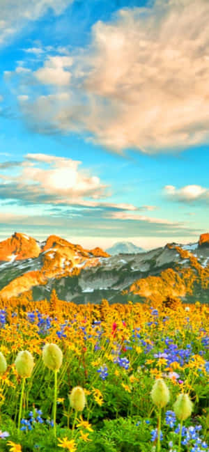 Pixel 3 Spring Background — Galaxy A08 Fundal