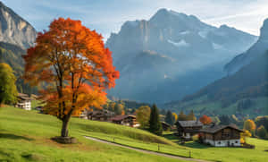 Imagini cu sat, Copac, Munte, Imagini estetice cu munți, Natură, Natură 4k, Imagini cu frumusețe naturală, Natural, Imagini peisaj — Natură Fundal