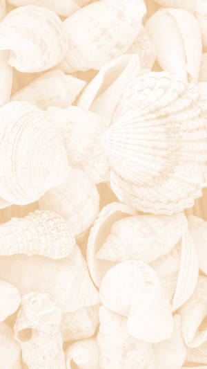 Scoicile estetice crem — Cream Aesthetic Fundal