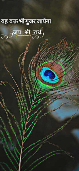 Shree Ram Peacock Feather — Galaxy Note Fundal